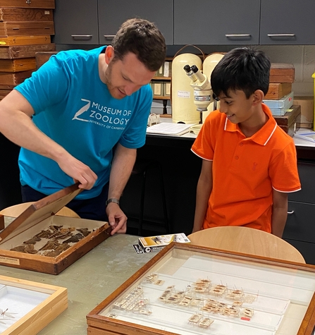 Matt Hayes shows a young visitor insects in a museum tray