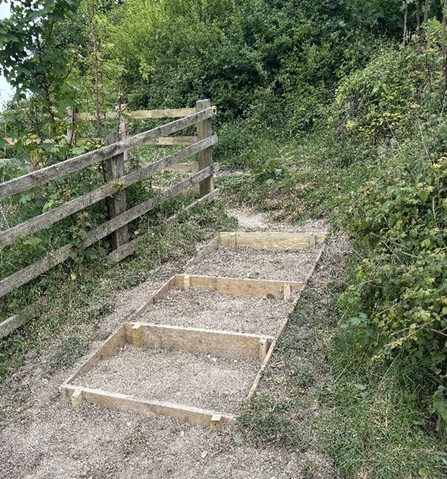 New steps