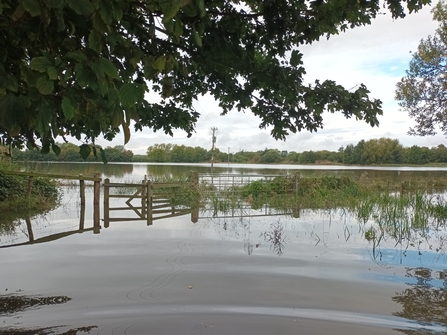 Nene Wetlands flood