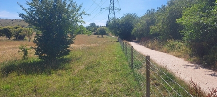A line of fencing alongside a path
