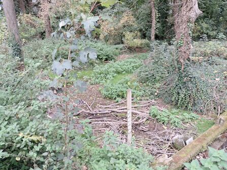 Wilbraham spring dry