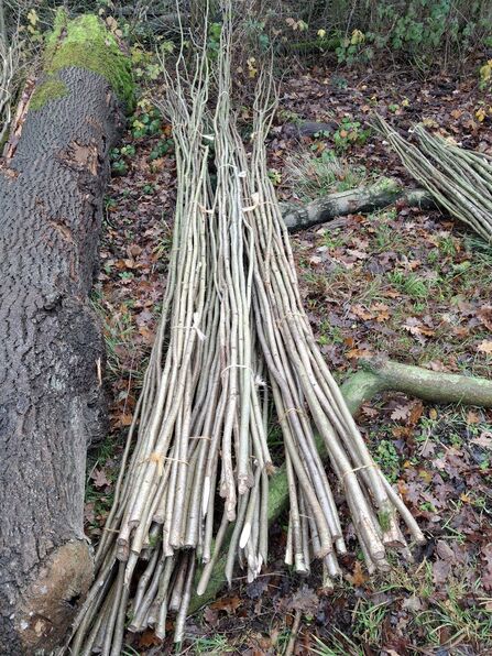 A pile of bundles of hedging binders