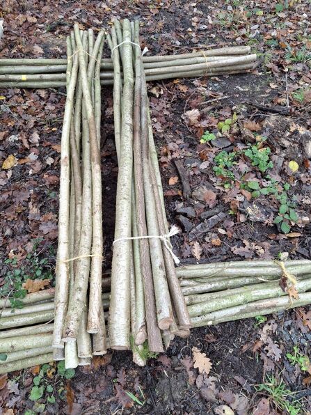 A pile of hedging stakes bundles together