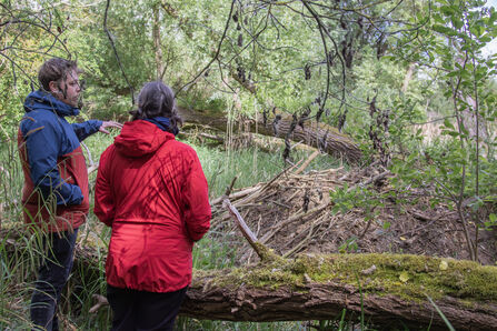 A man and a woman, both in bright waterproofs, stand beside a pile of sticks talking about its construction as a beaver lodge
