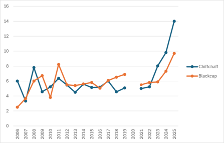 A graph showing increasing numbers of chiffchaff and blackcap numbers