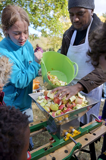 Girl pours apple into an apple press
