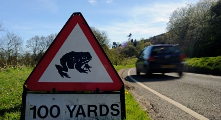 Toad crossing sign Linda Pitkin/2020VISION