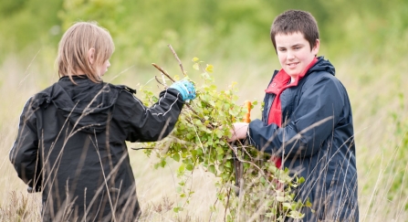 Local school children cut and collect growing tree saplings