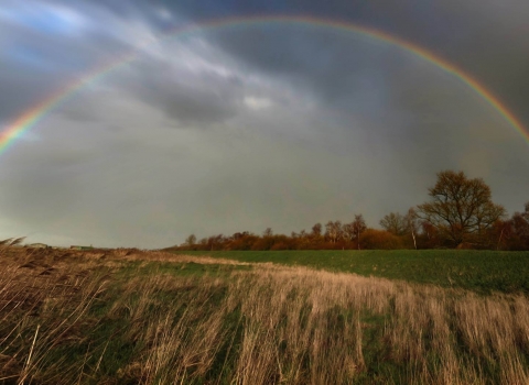 Rainbow over the Great Fen by Guy Pilkington