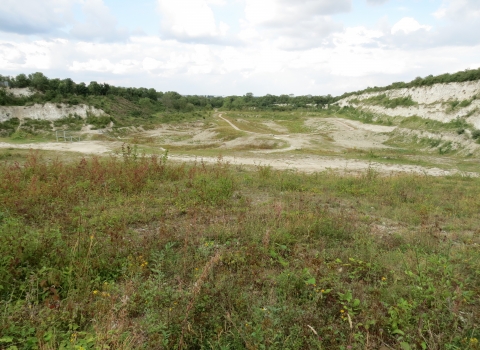 Cherry Hinton Chalk Pits - Jenny Clark