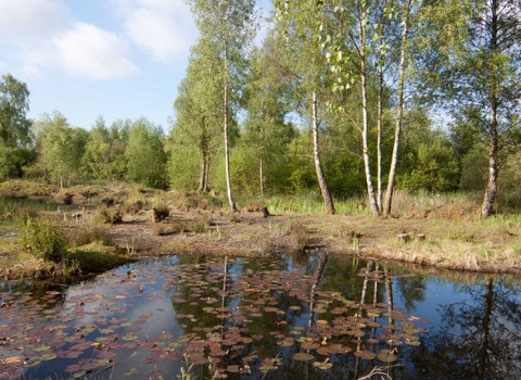 Felmersham Gravel Pits.  Image: David Mackay