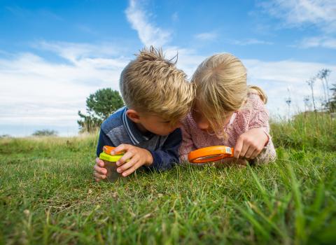 Wildlife Watch Children