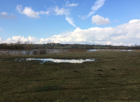 A winter view of Summer Leys