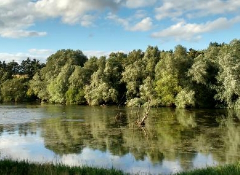 Pitsford Water Nature Reserve