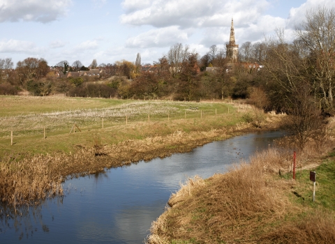 A view of Kingsthorpe Meadow