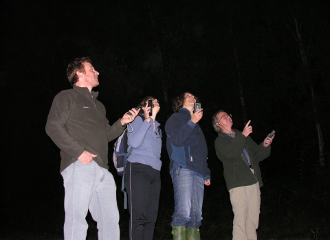 Volunteers with bat monitors