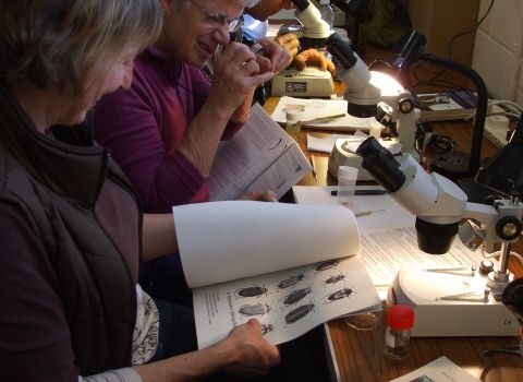 Volunteers conducting monitoring and research indoors