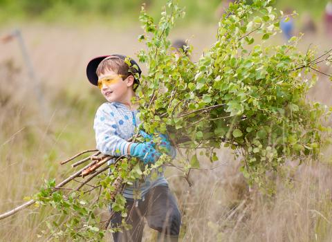 Local school children cut and collect growing tree saplings.