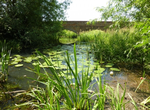 Duston Mill Race in the sunshine