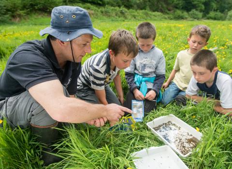 School children identifying invertebrates