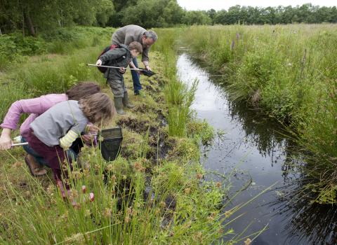 Family pond dipping at a wetland nature reserve