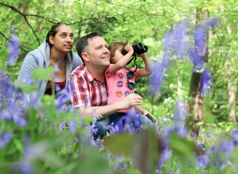 Family in bluebell woodland