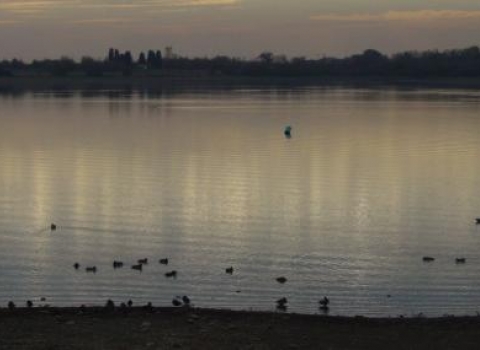 Grafham Water