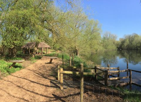 Nene Wetlands