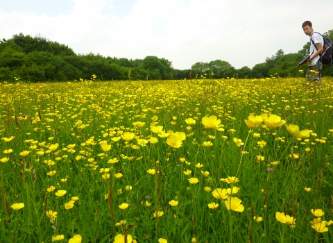 Local Wildlife Site, Matt Johnson