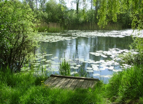 Paxton Pits