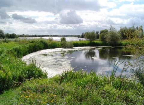 Summer Leys Nature Reserve