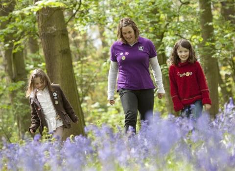 Children in bluebell wood with Wildlife Watch Club