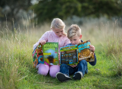 Children reading Wildlife Watch magazine 