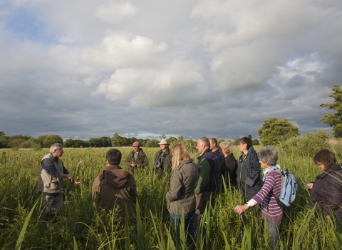 People learning about fenland wildlife