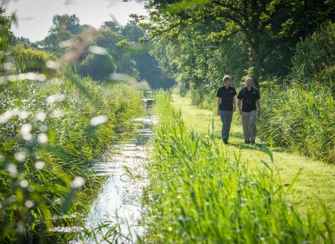 People walking along a path in a wetland nature reserve