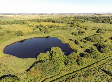 Aerial image of Woodwalton Fen