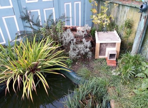 A hedgehog house in Becky Mayes's garden