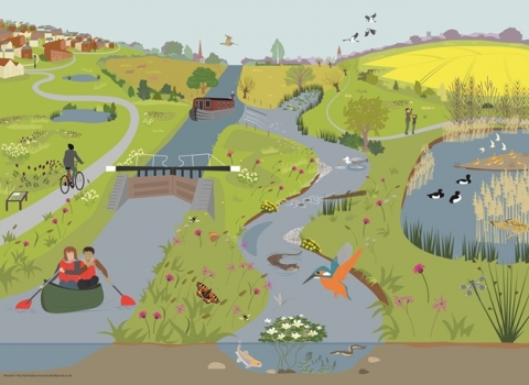 Nene valley illustration by Rachel Hudson