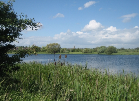 Nene Wetlands