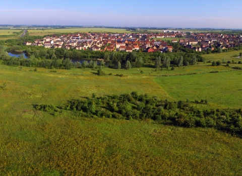 Cambourne Nature Reserve