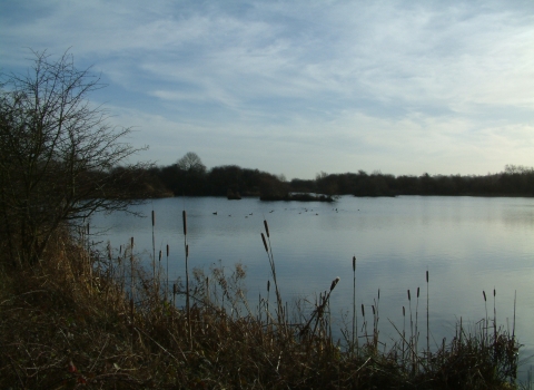 Storton's Pits