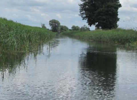 Wicken Fen by Marion Hession