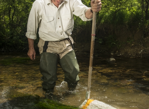 Invertebrate river survey