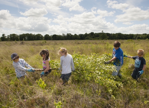 School children helping on a reserve 