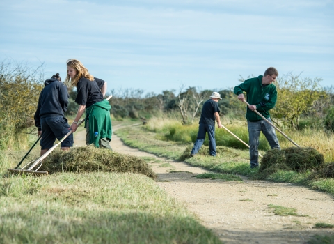 Volunteers on a nature reserve