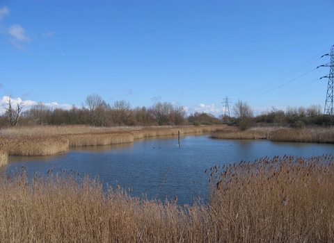 A picture of Woodston Ponds and blue sky