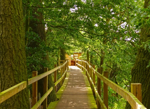 Kingfisher Hide at Paxton Pits