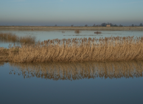 Ouse washes credit. Pat Doody