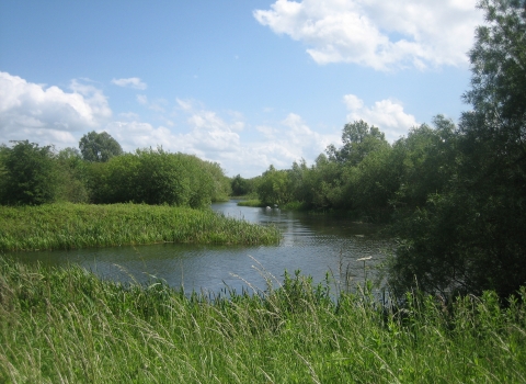 Irthlingborough by Annette Traverse-Healey