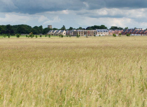 A view across Trumpington Meadows in June